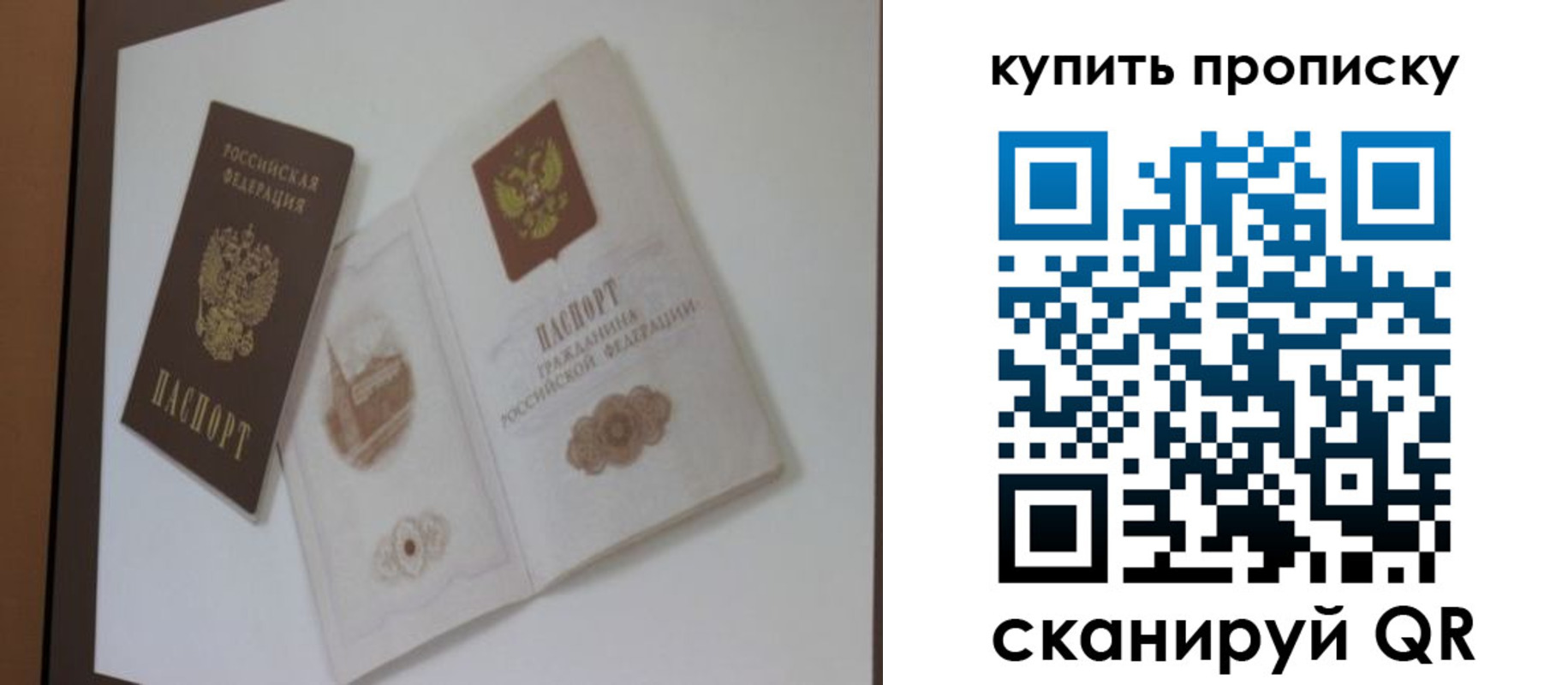 где прописаться в Волоколамске